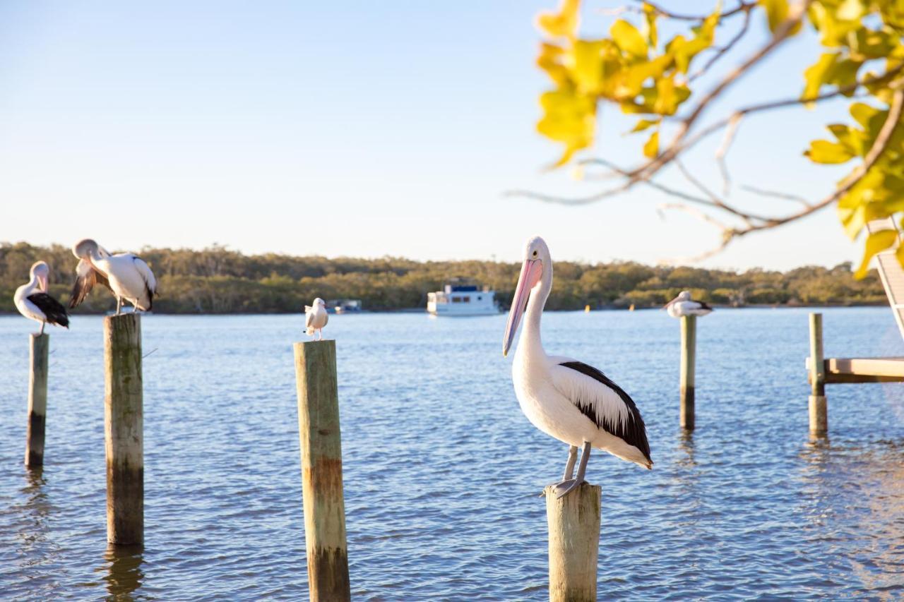The Islander Noosa Resort Noosaville Esterno foto